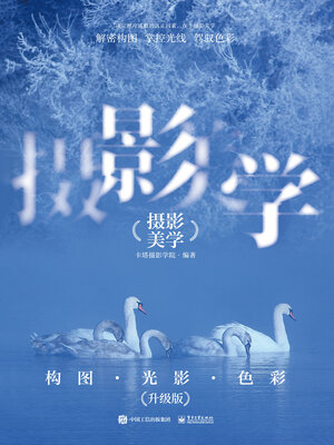 cover image of 摄影美学